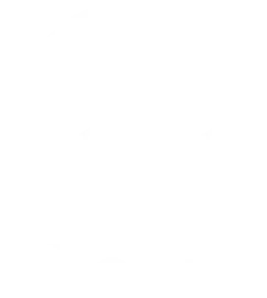 The Abacus